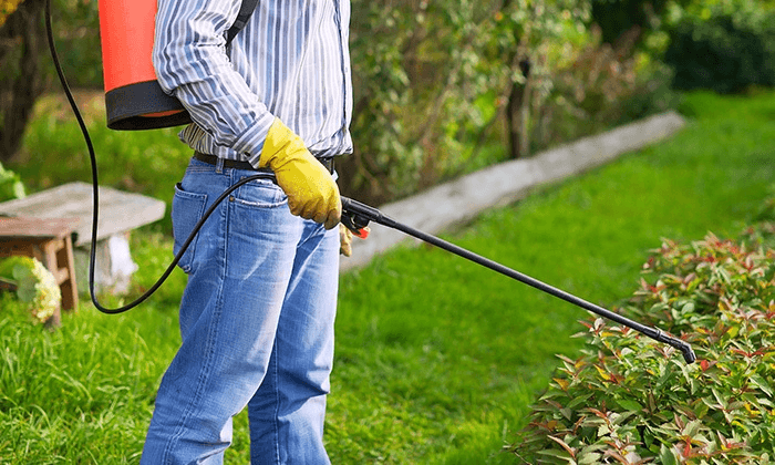 Pest Control technician on the job