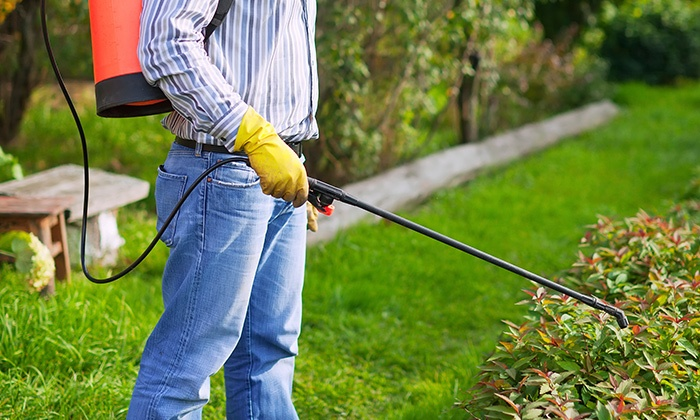 Pest Control hero